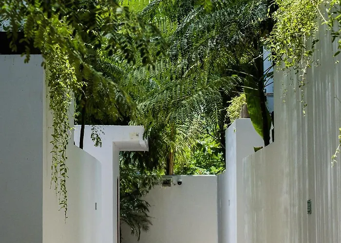 Treetop 4 - Enjoy Traditional, Modern 3 Bd In Bingin
